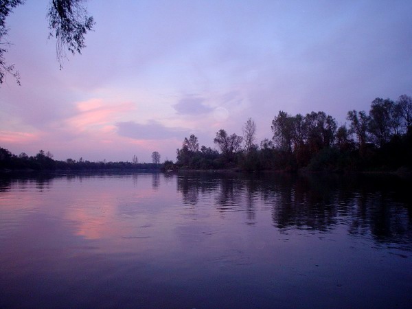 velika_morava_lapovo