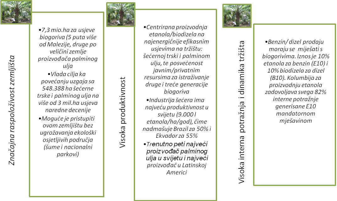 trziste_biogoriva_kolumbija